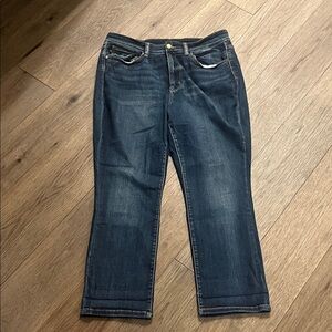 JUDY BLUE skinny fit capri, size 16W